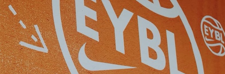 Houston Hoops's banner