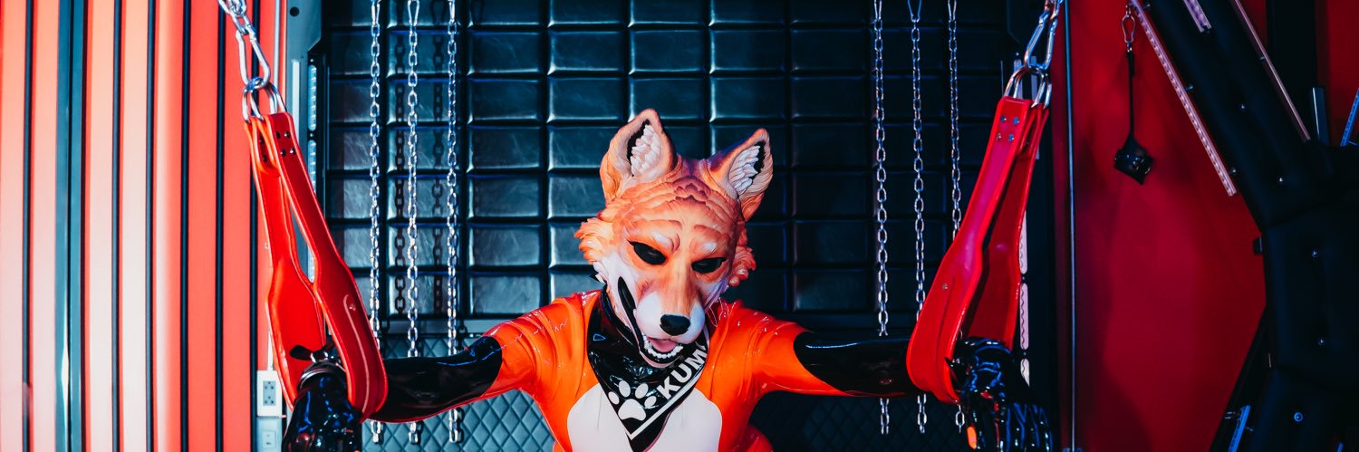 Lumi🦊 Latex Fox's banner