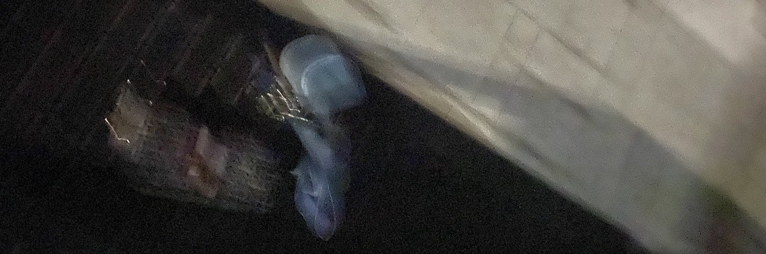 thebaddestcece's banner