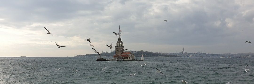 Alev Derya's banner