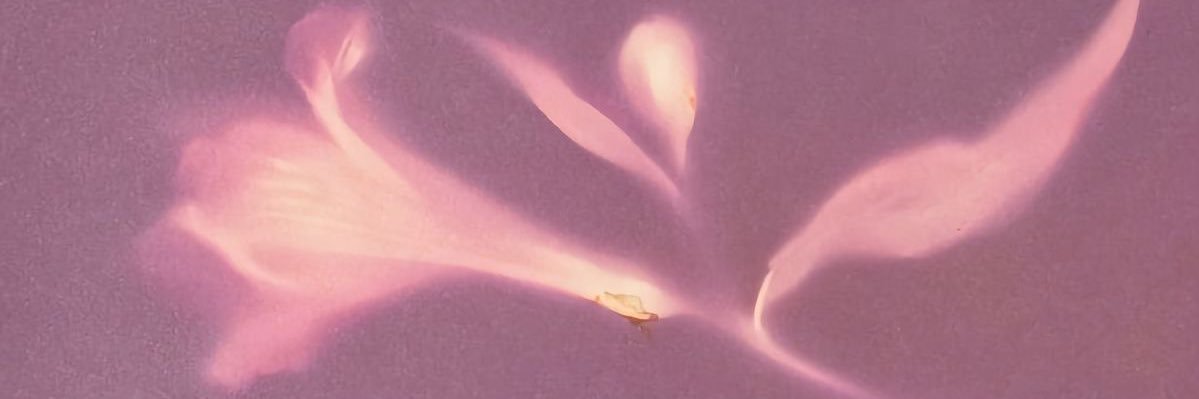 aury 𖠋's banner