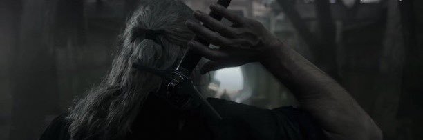 Witcher's banner