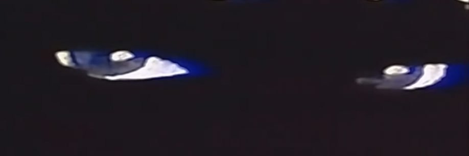 87's banner
