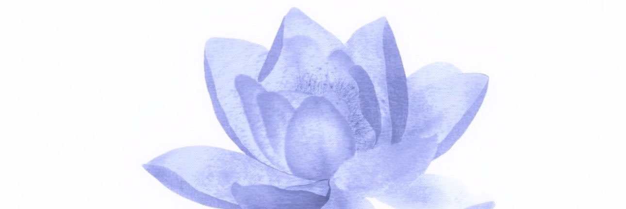 anastasia ݁ ⸜̑⸝͂'s banner