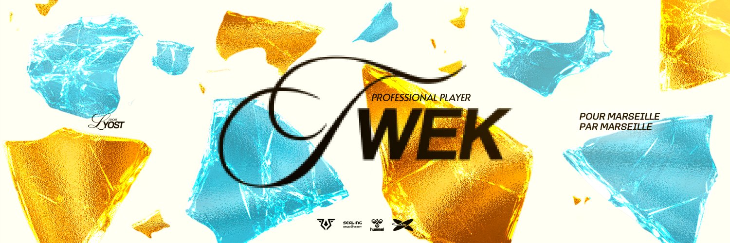Lyost Twek's banner