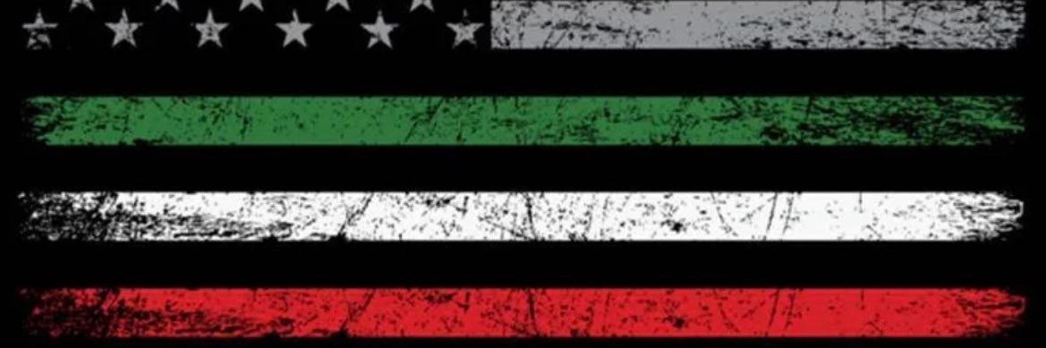 Ricky Zaccaglino's banner