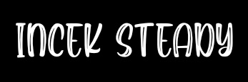 𝙸𝚗𝚌𝚎𝚔 𝚂𝚝𝚎𝚊𝚍𝚢's banner