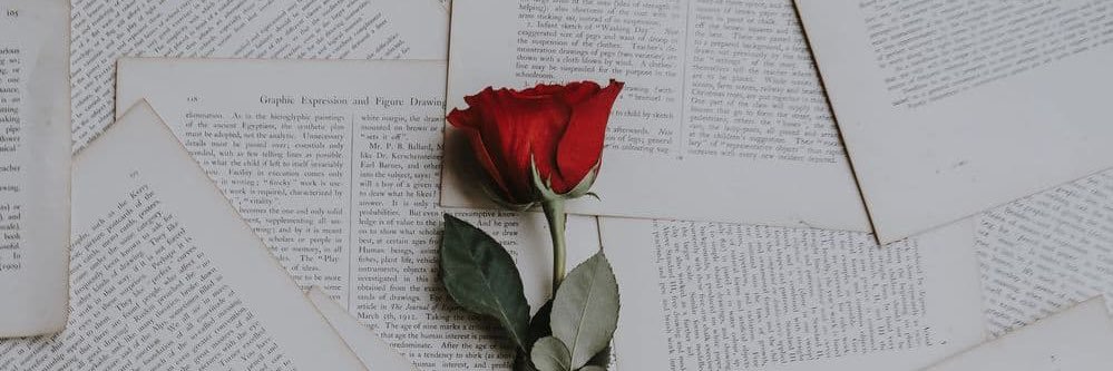 Augusto Gimenez 🌹's banner
