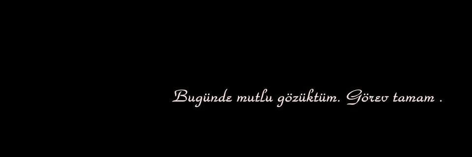 Mete's banner