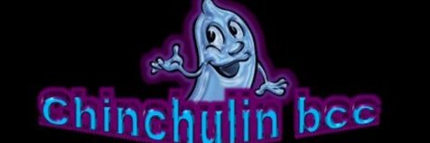 Chinchulinbcc's banner