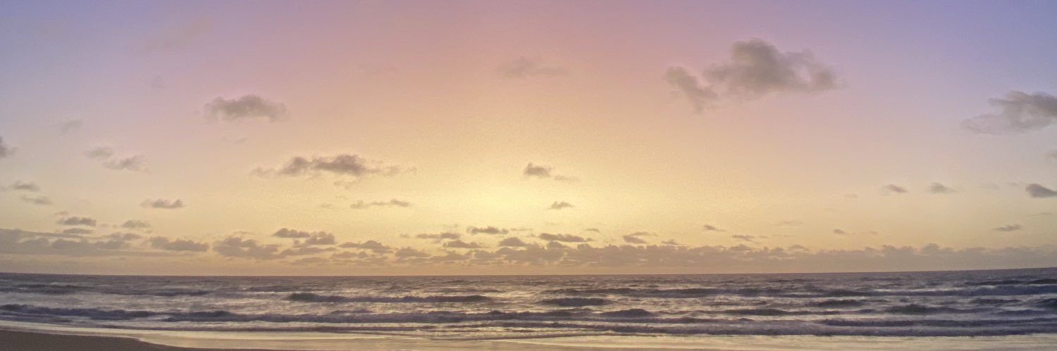 Skinnydipadventures's banner