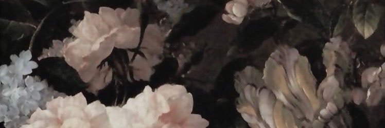 velvet ꕤ's banner