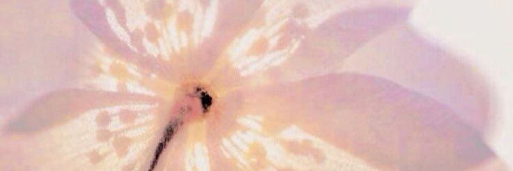 kay🎧🫧 ⊹'s banner