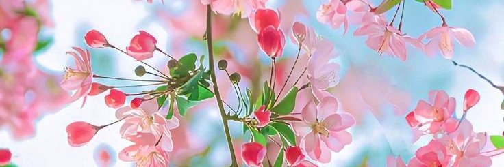 change（互Fo）'s banner