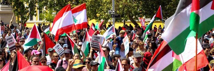 Coordinadora por Palestina's banner