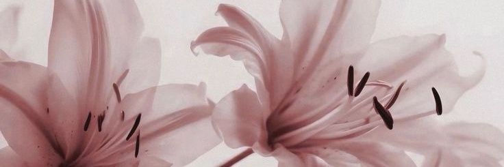 Mels! 🎀's banner