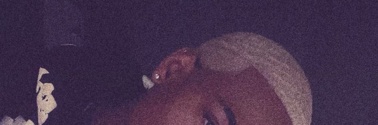 🍭's banner
