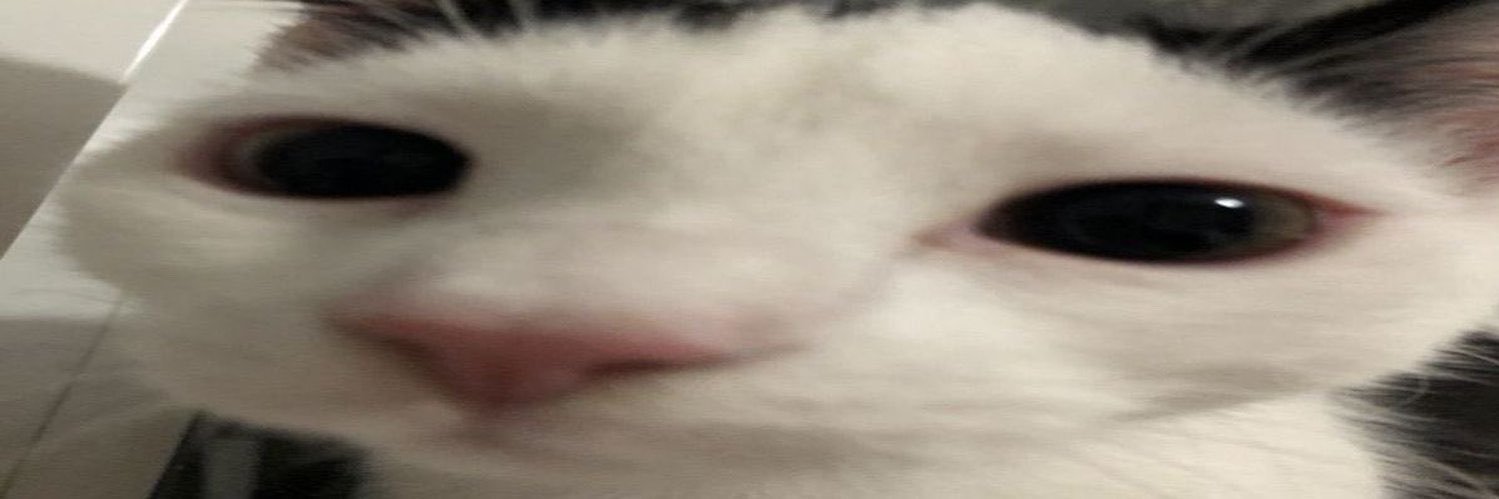 skippy (working)'s banner