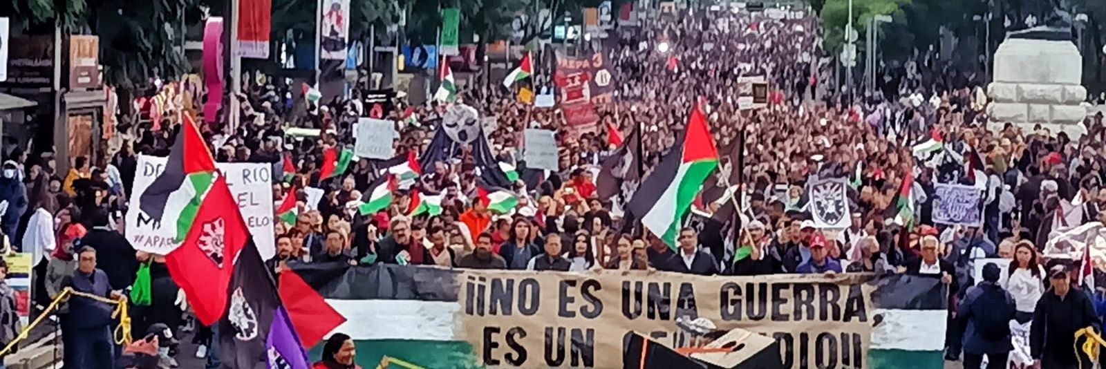 PLATAFORMA COMÚN POR PALESTINA's banner