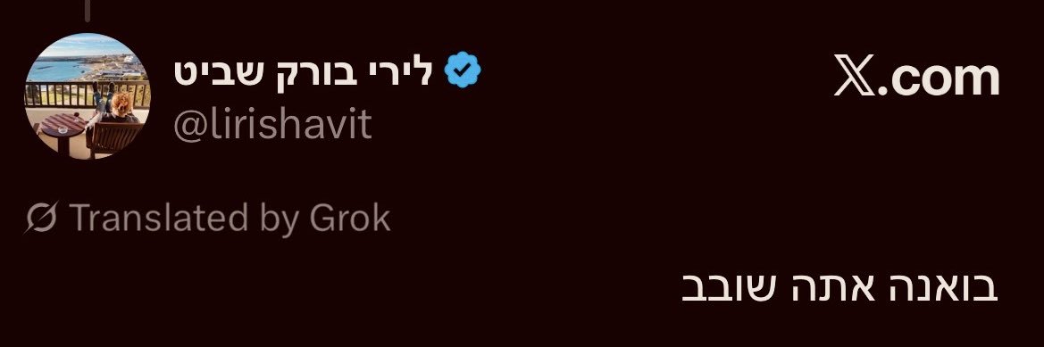 Tzahi's banner
