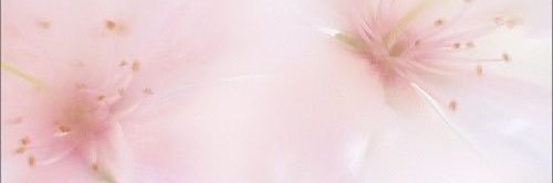 strawberryprincess's banner