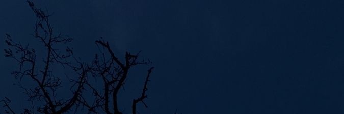 𝐑𝐚𝐢's banner