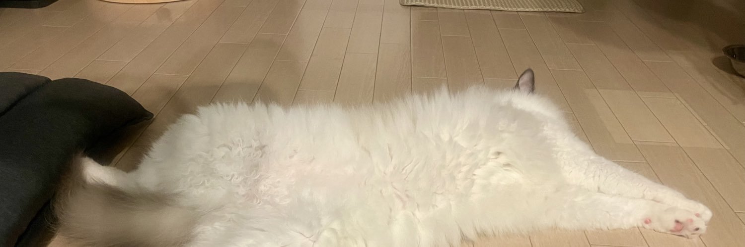 まりチャン🍥's banner