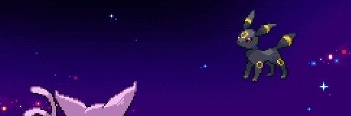 NETTSPEND's banner