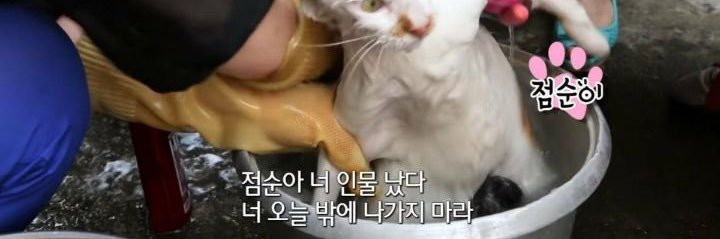 다림's banner