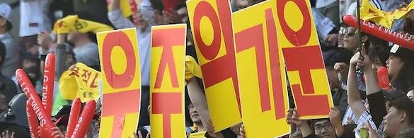 로버 (메인트🗳️)'s banner