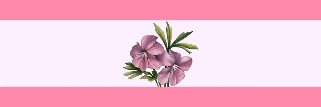 فطيم 🪻⚜️'s banner