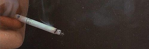 `•.,¸¸,.•´¯ كاسيليا 🎀. gül. ‏'s banner