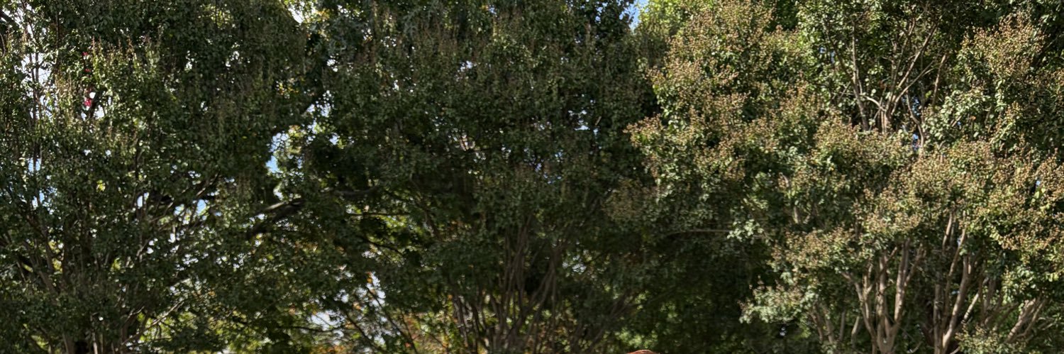 Anastasia Mounds's banner