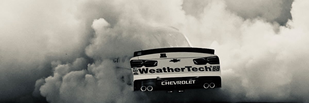 abby's banner