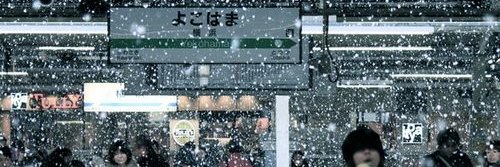 変な鳥's banner