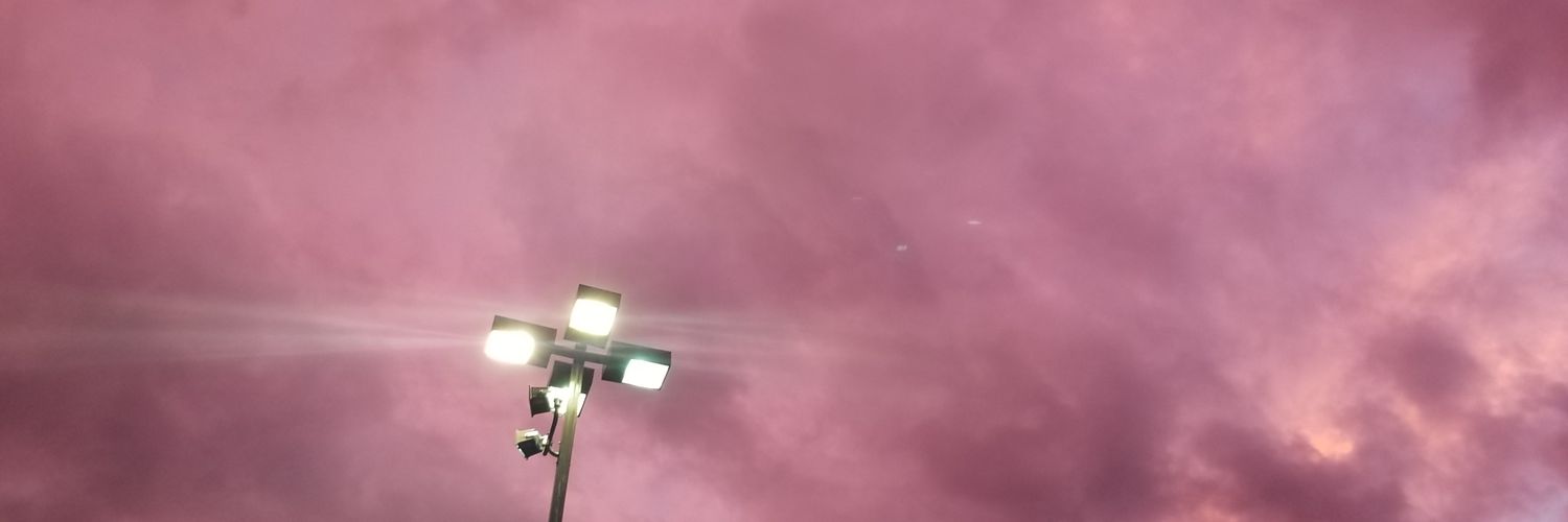 Skullduggers's banner