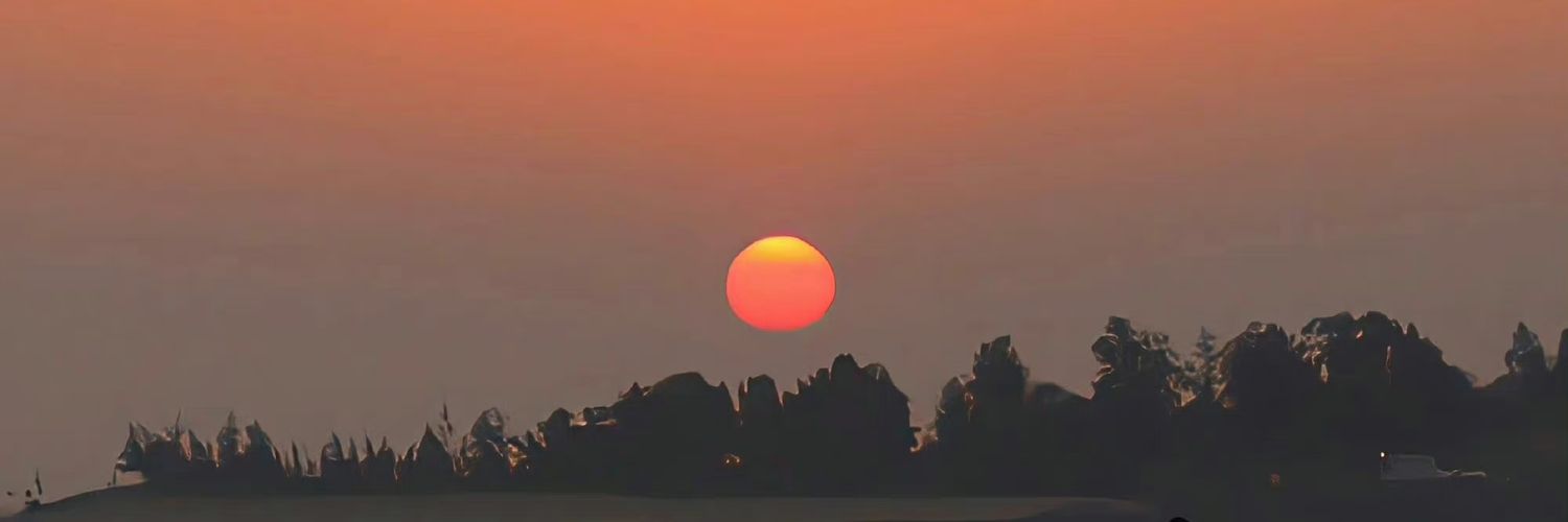 针对腹部的若干研究's banner