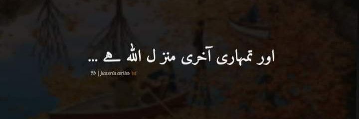 چٹا انپڑھ's banner