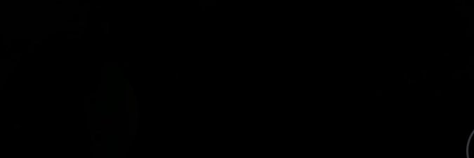 Gemineye's banner