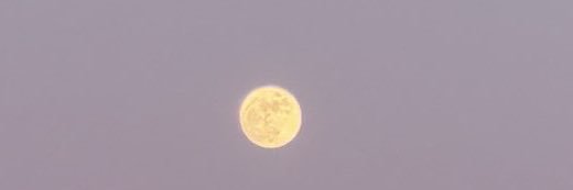 ᥫ᭡'s banner