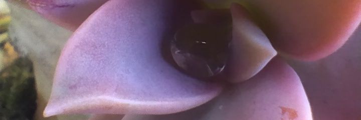 Angie 🚬👄's banner