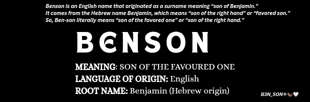 ß3N_SON 𖤐🦦🤍.'s banner