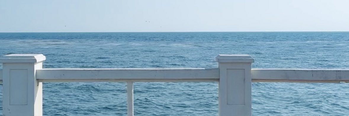 رشا's banner