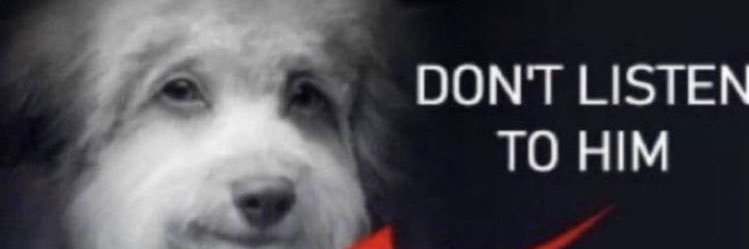 🪲FRANKED-OUT! (ON BREAK)'s banner