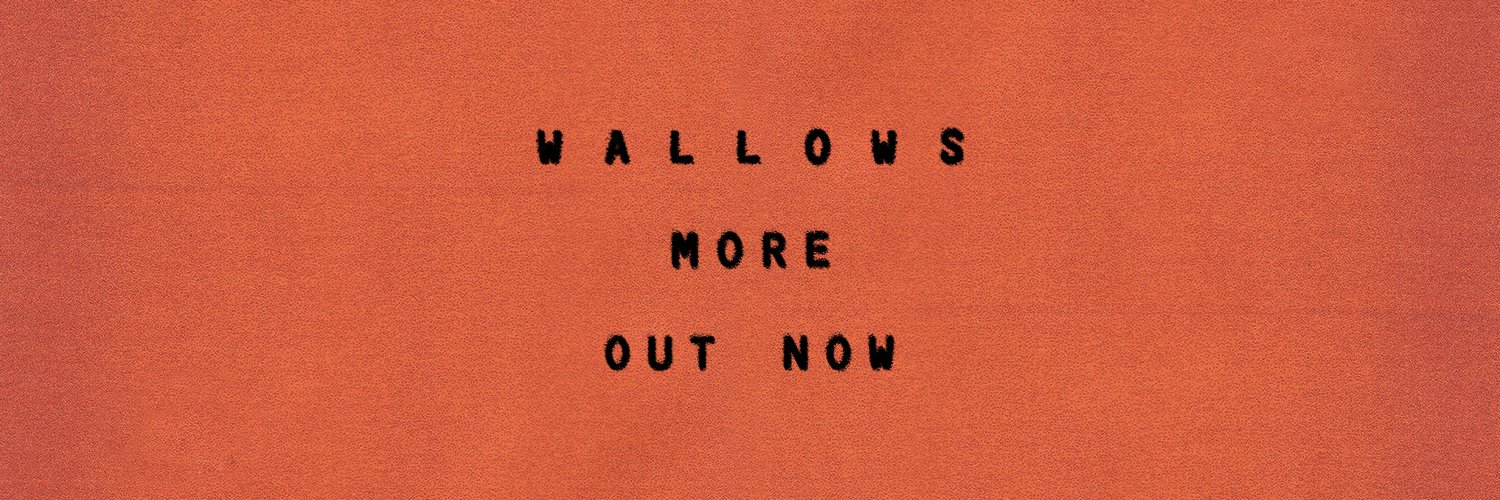Wallows Info's banner