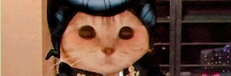 josuke gatuno's banner