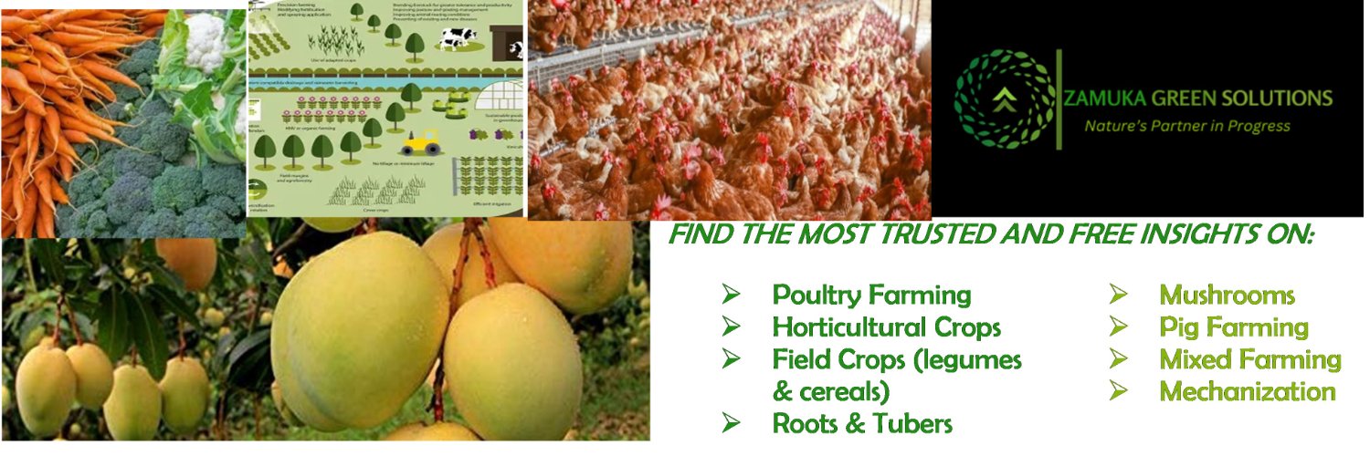ZAMUKA GREEN SOLUTIONS's banner