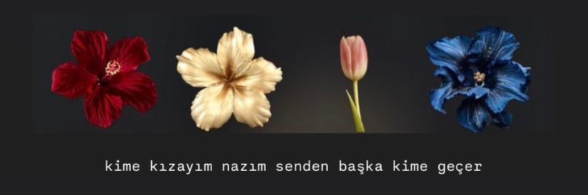 Guloke's banner
