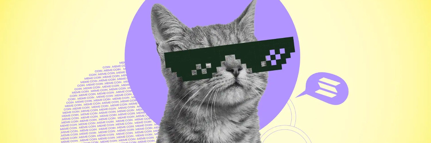 Memes of Solana! 🌴 🏁's banner