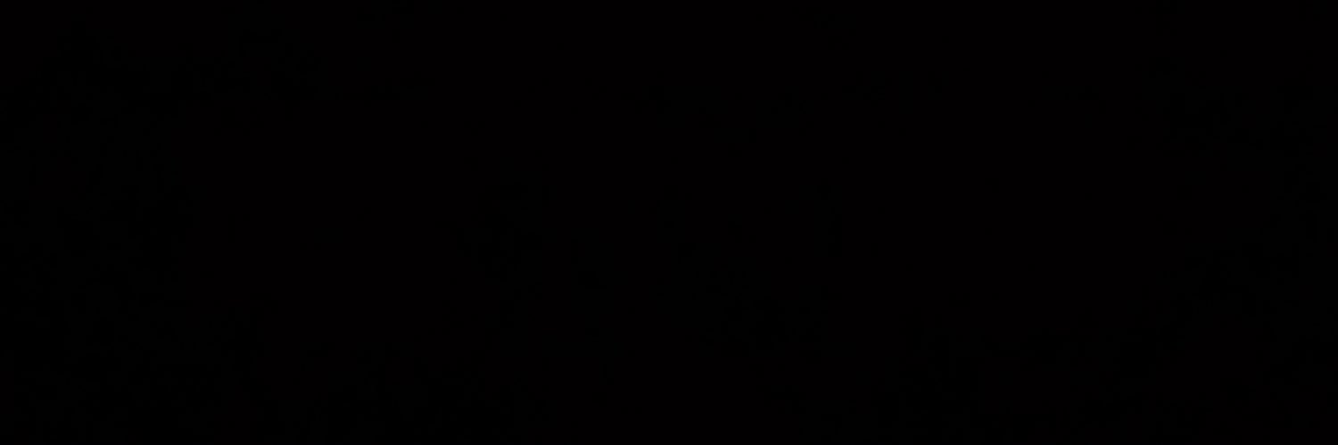 🪡's banner